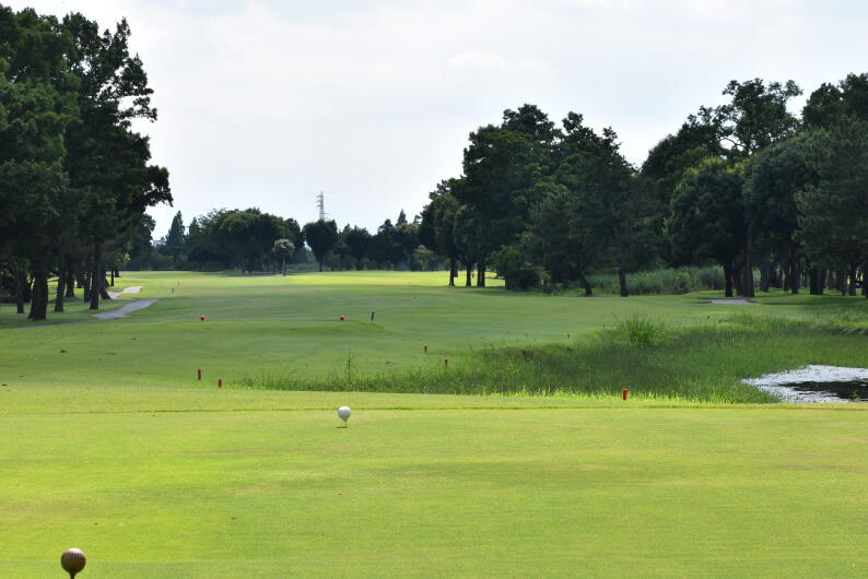 ちどりコース Hole1 コース画像