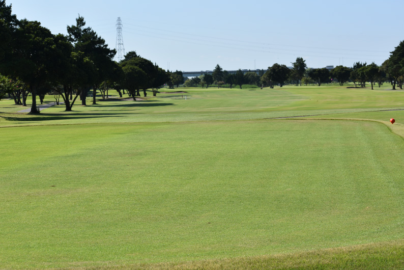 ひばりコース Hole7 コース画像