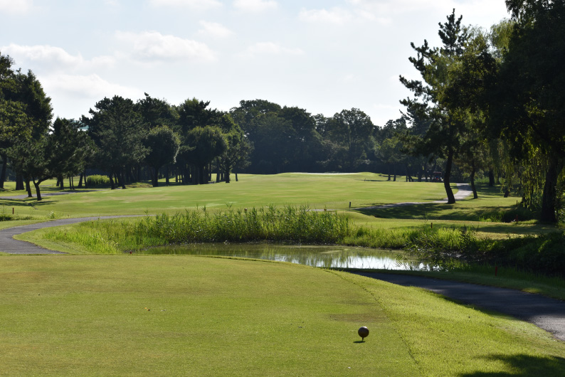 ひばりコース Hole9 コース画像