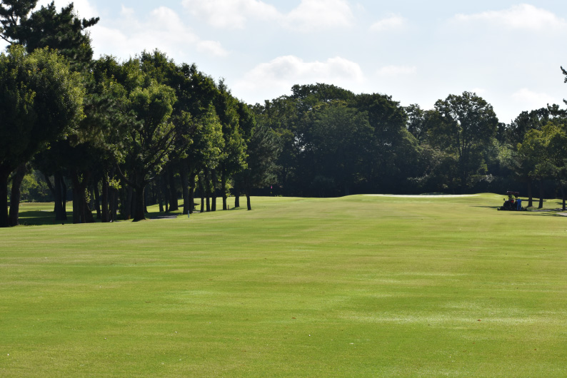 ひばりコース Hole9 コース画像