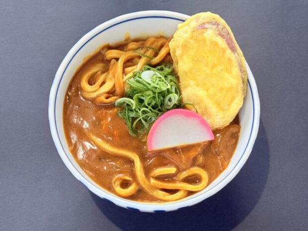 【週替わり】カレーうどん